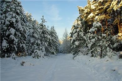 《法外枭雄：滚石城》新预告 Steam版和DLC于6月18日发售