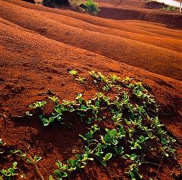 《Last Train Home》steam试玩上线 装甲列车归途冒险